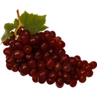 �������� �������