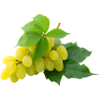 �������� �������