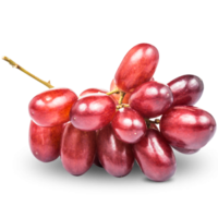 Виноград Виноград