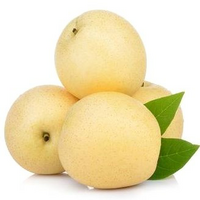 �������� �����