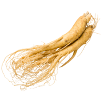 Женьшень Женьшень